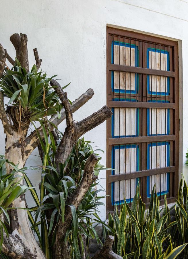 Casa Jacaranda Hotel Boutique - Cauca Viejo - Mayores De 14 Anos - Херіко Екстер'єр фото