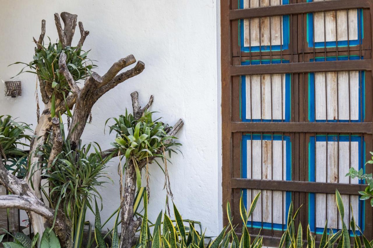 Casa Jacaranda Hotel Boutique - Cauca Viejo - Mayores De 14 Anos - Херіко Екстер'єр фото