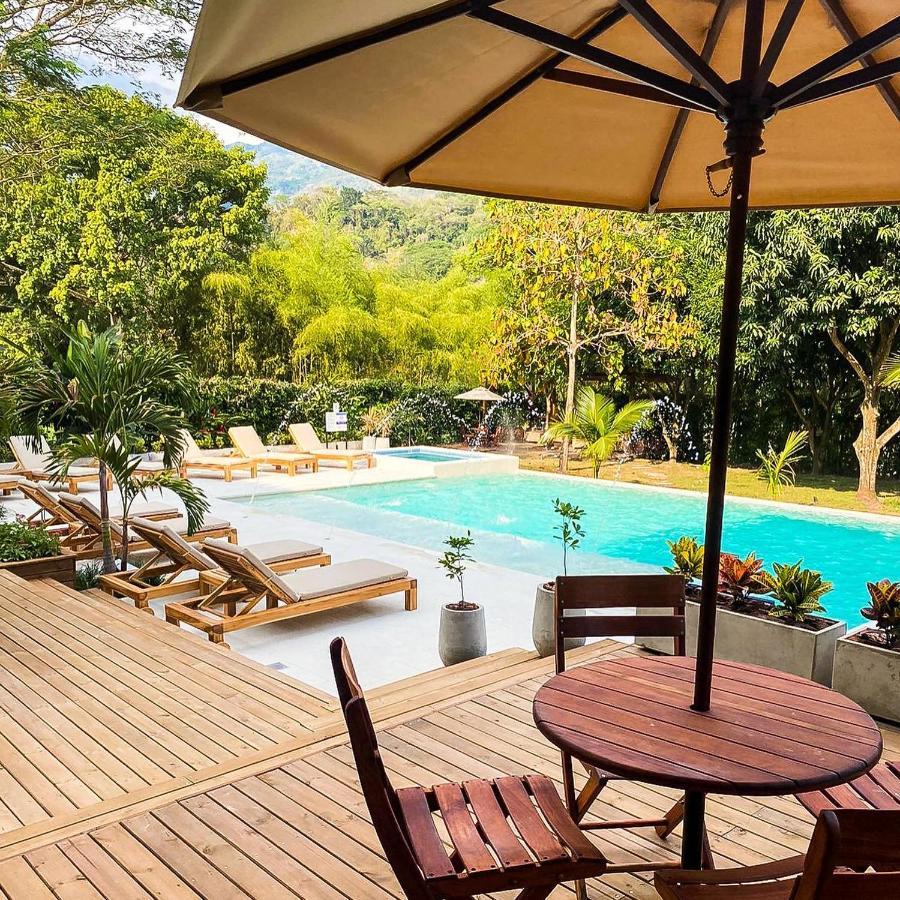 Casa Jacaranda Hotel Boutique - Cauca Viejo - Mayores De 14 Anos - Херіко Екстер'єр фото